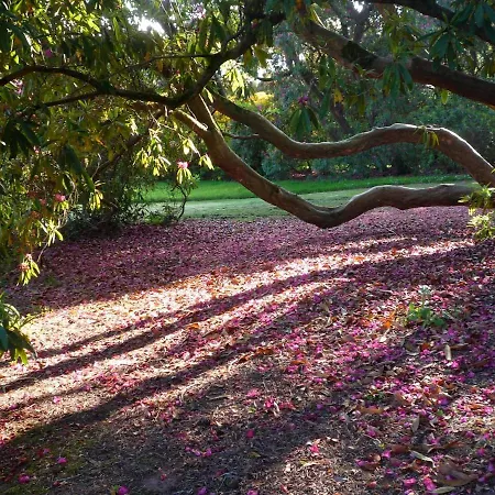 Belmont House *