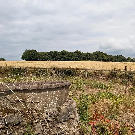 Unwind At Hilltop Farm With Valley Views Nyaraló *