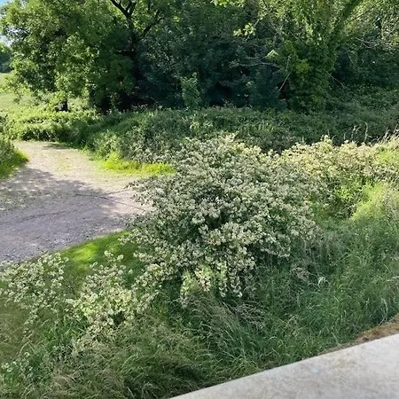 Unwind At Hilltop Farm With Valley Views Nyaraló