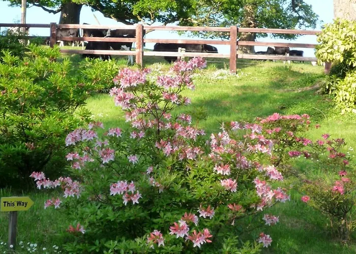 Unwind At Hilltop Farm With Valley Views