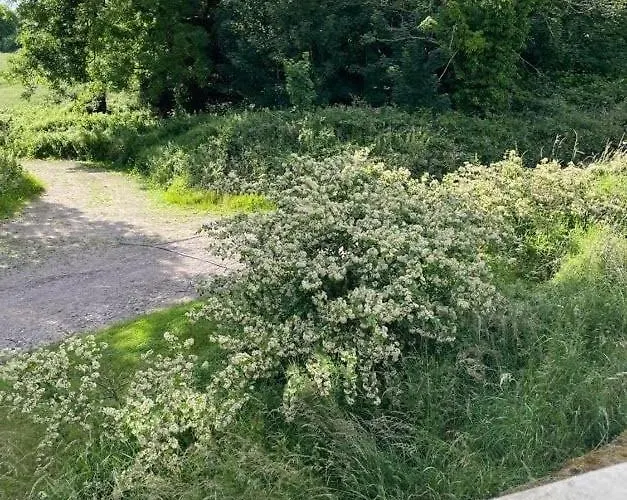 Unwind At Hilltop Farm With Valley Views Hébergement de vacances